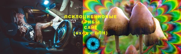 PSILOCYBIN Балабаново