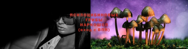 PSILOCYBIN Балабаново