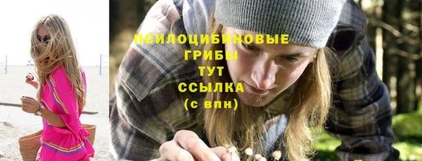 спайс Баксан