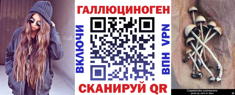 Псилоцибиновые грибы GOLDEN TEACHER  Светогорск 