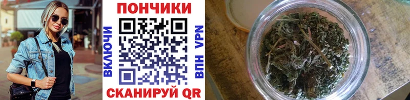 Бошки марихуана план  Светогорск 